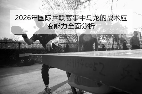 nian-guo-ji-ping-lian-sai-shi-zhong-ma-long-de-zhan-shu-ying-bian-neng-li-quan-mian-fen-xi-2-667.jpg