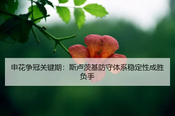 shen-hua-zheng-guan-guan-jian-qi-si-lu-ci-ji-fang-shou-ti-xi-wen-ding-xing-cheng-sheng-fu-shou-2-435.jpg