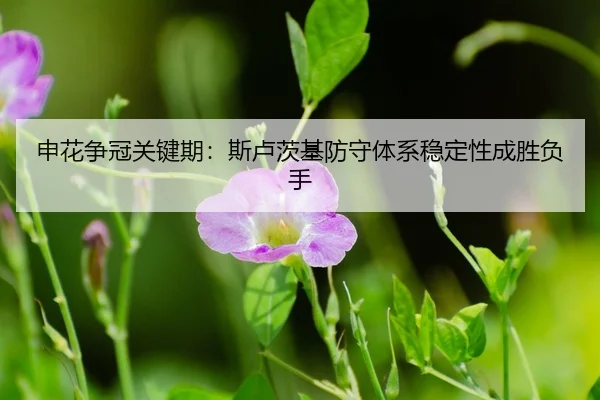shen-hua-zheng-guan-guan-jian-qi-si-lu-ci-ji-fang-shou-ti-xi-wen-ding-xing-cheng-sheng-fu-shou-3-948.jpg