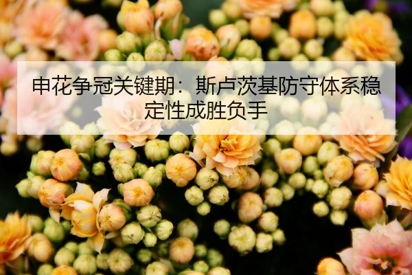 申花争冠关键期：斯卢茨基防守体系稳定性成胜负手