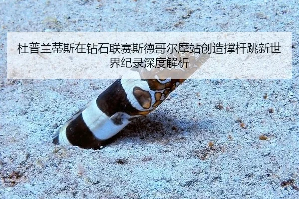 杜普兰蒂斯在钻石联赛斯德哥尔摩站创造撑杆跳新世界纪录深度解析