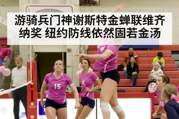 游骑兵门神谢斯特金蝉联维齐纳奖 纽约防线依然固若金汤