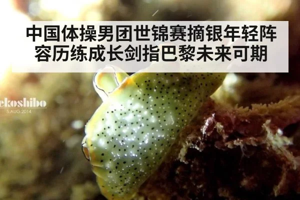 中国体操男团世锦赛摘银年轻阵容历练成长剑指巴黎未来可期